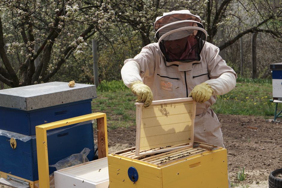 2-frame honey extractors buying guide
