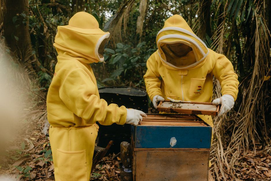 beekeeping suit buying guide