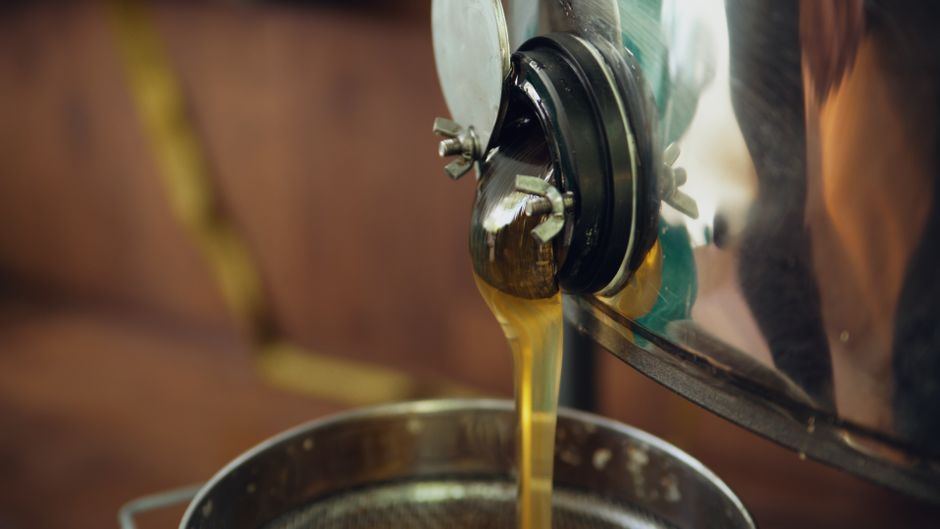 radial vs. tangential honey extractors buying guide
