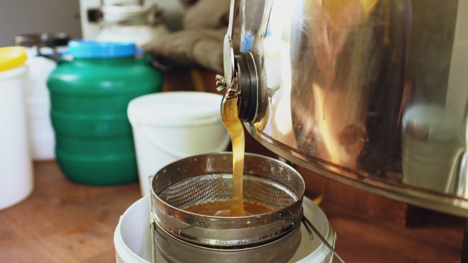 honey extractor comparison and buying guide